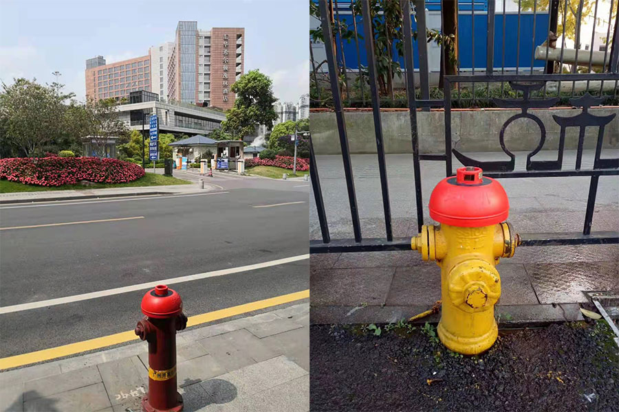 1642217465635754.jpg 6.jpg